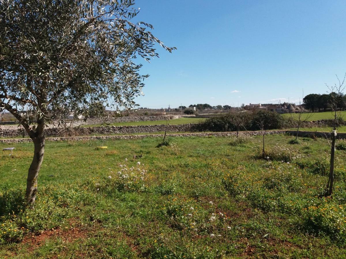 מרטינה פרנקה B&B Trulli Sotto La Cupa מראה חיצוני תמונה
